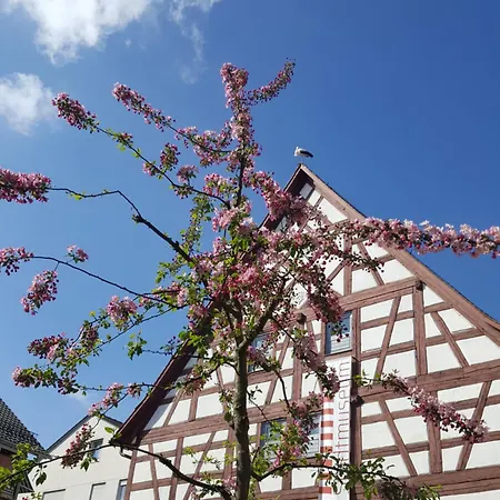 Appartement Am Stadtmuseum - Ruhig Und Zentral Gelegen Bad Saulgau Exterior photo