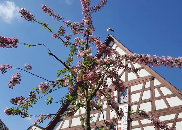 Appartement Am Stadtmuseum - Ruhig Und Zentral Gelegen