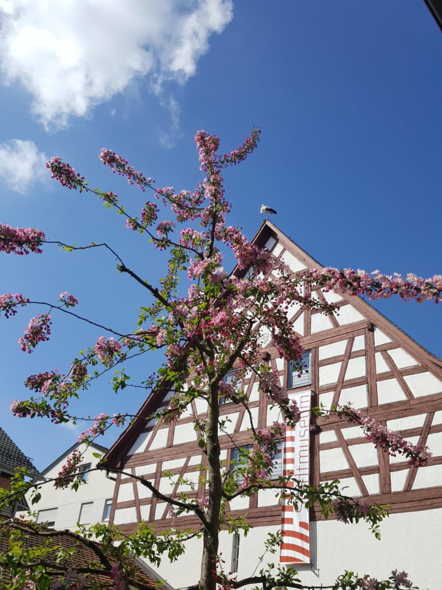 Am Stadtmuseum - Ruhig Und Zentral Gelegen Apartment Bad Saulgau